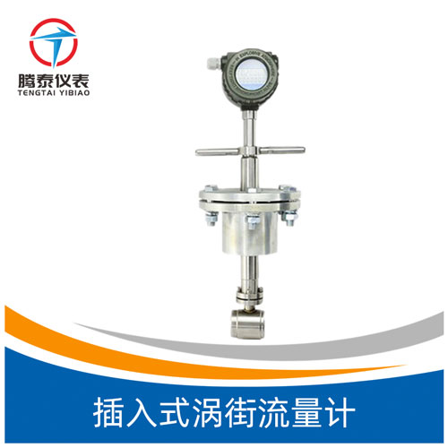 <b>插入式涡街流量计</b>