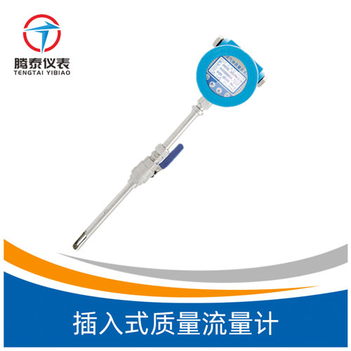 <b>插入式质量流量计</b>