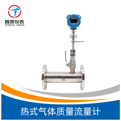 <b>热式气体质量流量计</b>