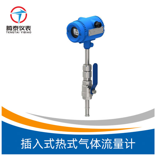 <b>插入式热式气体流量计</b>