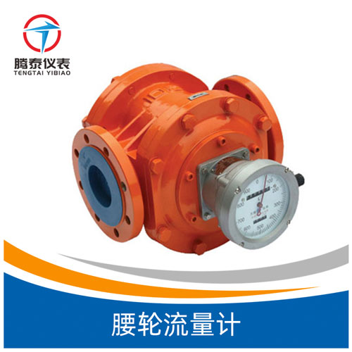 <b>腰轮流量计</b>