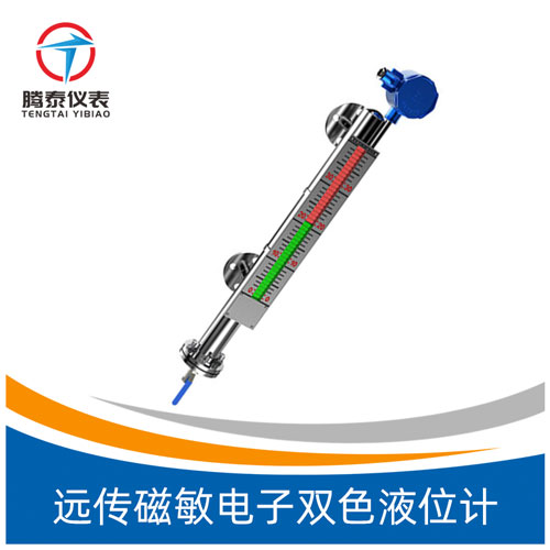 <b>远传磁敏电子双色液位计</b>