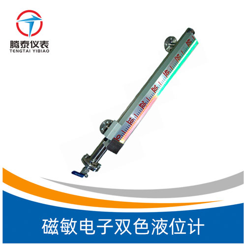 <b>磁敏电子双色液位计</b>