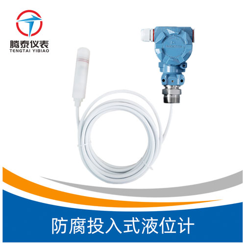 <b>防腐投入式液位计</b>