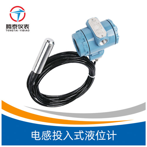 <b>电感投入式液位计</b>