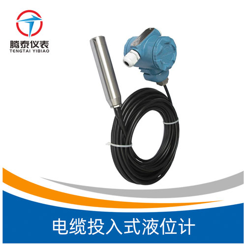<b>电缆投入式液位计</b>