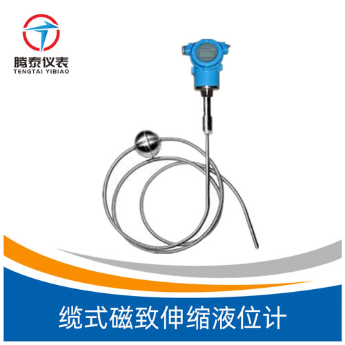 <b>缆式磁致伸缩液位计</b>