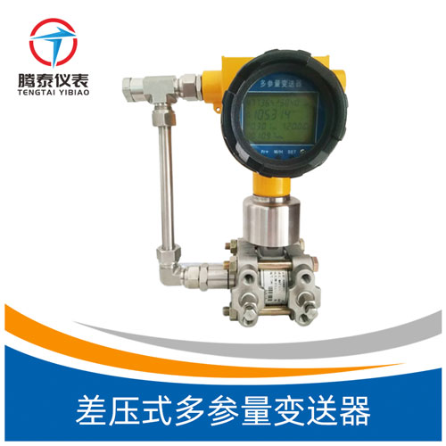 <b>差压式多参量变送器</b>