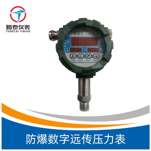 <b>防爆数字远传压力表</b>