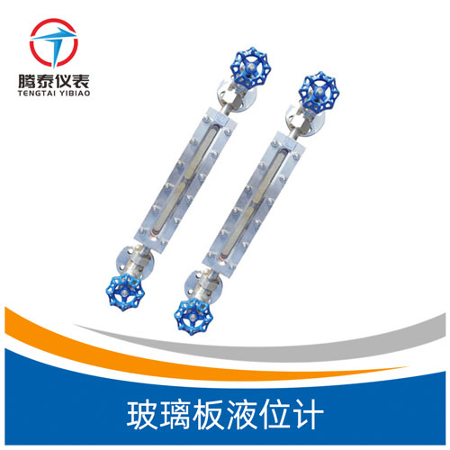 <b>玻璃板液位计</b>