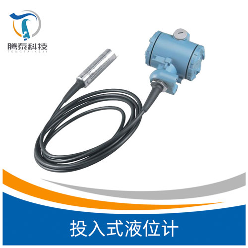 <b>投入式液位计</b> <b>投入式液位计</b>